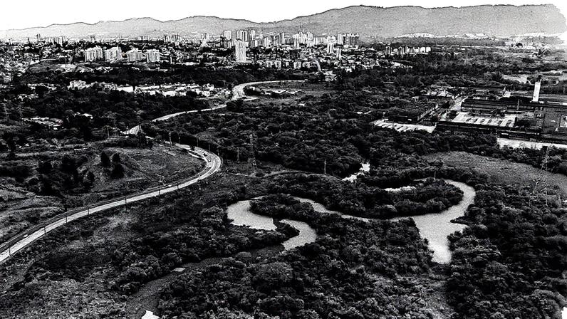 Poluição no rio Tietê em trecho da região de Mogi das Cruzes, São Paulo (Foto: Reprodução)