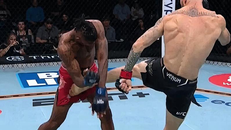Luta do UFC termina empatada após golpe acidental nas partes íntimas de um lutador (Foto: Reprodução)