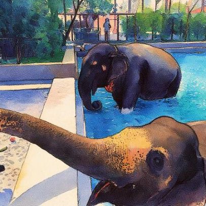 Zoo privado da família Ambani é inocentado de acusações de irregularidades