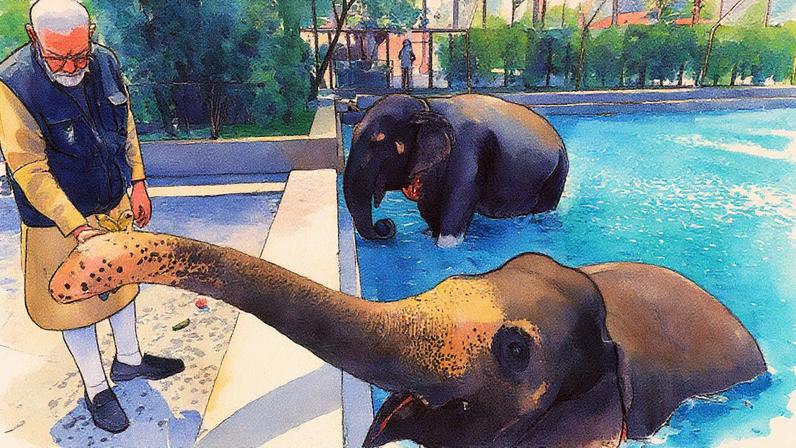 Vantara abriga centenas de elefantes, tigres e outros animais (Foto: Reprodução)