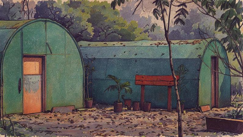 Vivero da comunidade Jasy Porã em Iguazú, com vegetação e plantas visíveis (Foto: Reprodução)