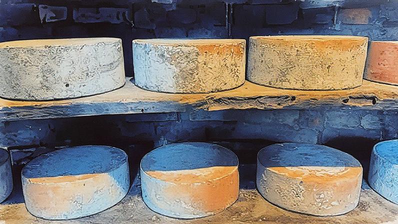 Fazenda Pérola da Serra possui 200 búfalas e produz cerca de 750 litros de leite por dia (Foto: Reprodução)