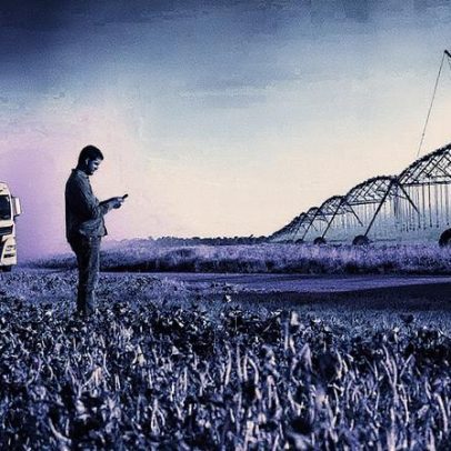 Tecnologia permite colheitas trimestrais e eleva produção agrícola a recordes