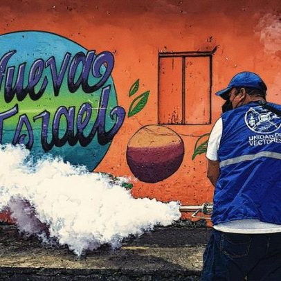 Mosquitos perigosos se adaptam e se fortalecem com a convivência humana