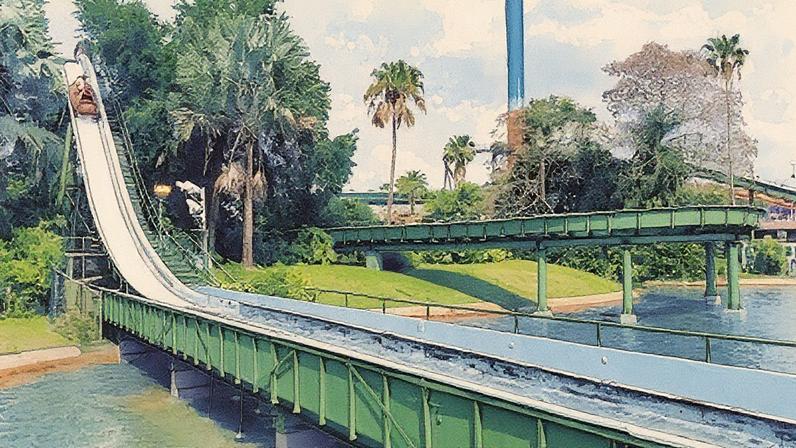 Atração Stanley Falls Flume do Busch Gardens Tampa Bay, na Flórida, será descontinuada (Foto: Reprodução)