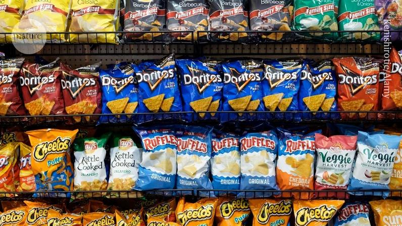 Alimentos ultraprocessados, incluindo diversas opções de snacks, apresentam alto teor de gordura, sal e açúcar (Foto: Reprodução)