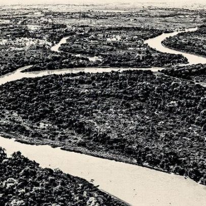 Estatuto do Pantanal avança no Congresso e gera debate sobre proteção do bioma