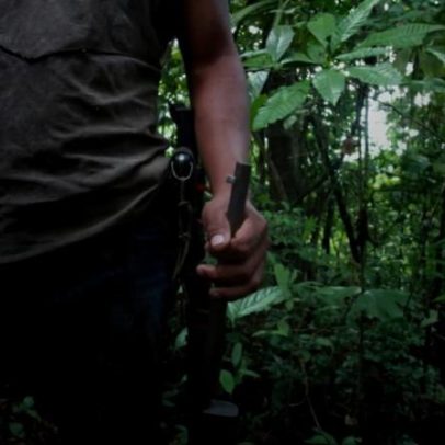 146 defensores ambientais foram mortos ou desaparecidos no último ano