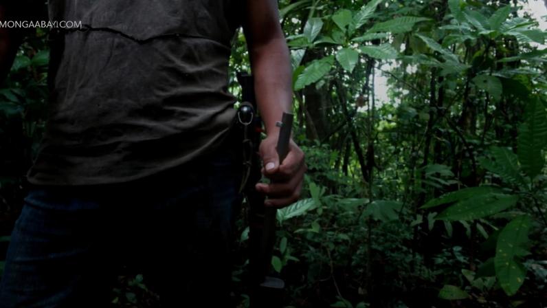 Hunter in Colombia. By Rhett Ayers Butler