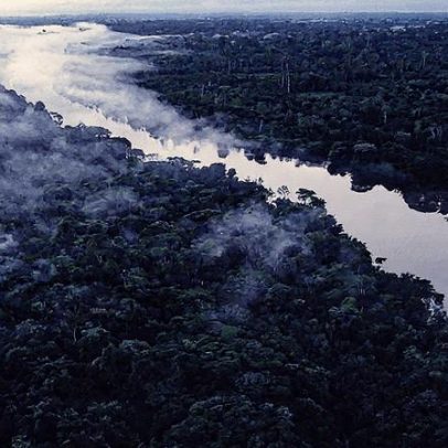 Terras indígenas preservadas garantem saúde e combatem doenças na Amazônia