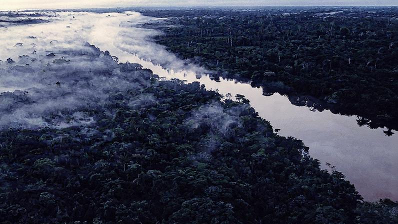 Neblina sobre o rio Guamá na aldeia Tenetehar Wa Tembe, na Terra Indígena do Alto Rio Guamá, durante o nascer do sol (Foto: Reprodução)