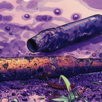 PCC controla porto e rota caipira na Baixada Santista para exportar drogas