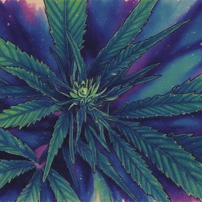 Usuário flagrado com maconha deve comparecer a centro de atendimento em 30 dias