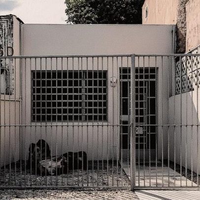 Casa estreita no México revela refúgio surpreendente com piscina escondida