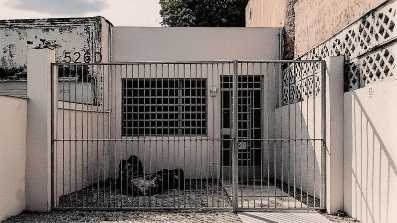 Fachada discreta de casa em Mérida, no México, que abriga uma hospedagem aconchegante com elementos de luxo e minimalismo (Foto: Reprodução)