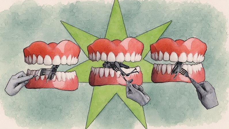 Teoria da conspiração afirma que 'elites globais' forçarão as massas a comer insetos (Foto: Reprodução)