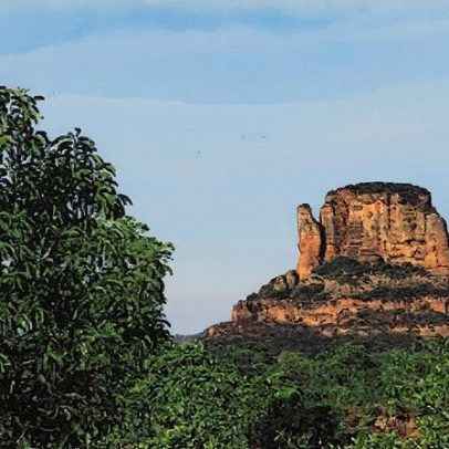 MPF processa Justiça por grilagem de 110 mil hectares em estação ecológica no Piauí