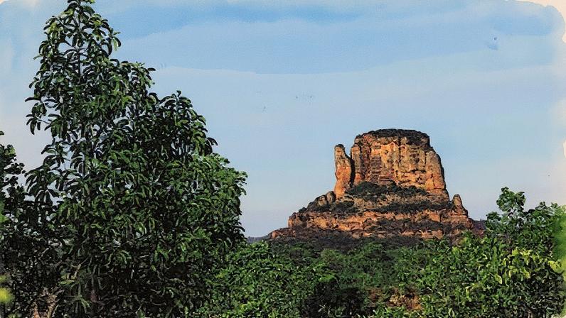 Estação Ecológica de Uruçuí-Una é ameaçada de grilagem, segundo o MPF (Foto: Reprodução)