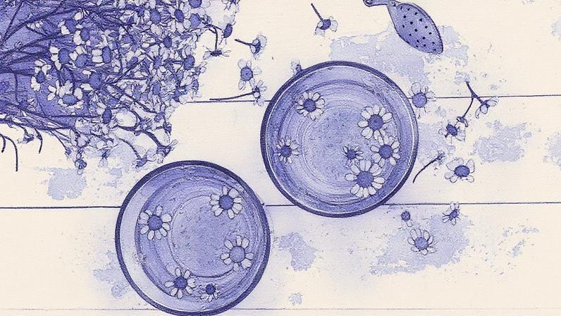 Camomila, conhecida por seus benefícios digestivos e calmantes, pode impactar a saúde renal quando consumida diariamente (Foto: Reprodução)