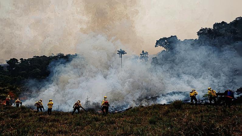 Número de queimadas na Amazônia de janeiro a novembro é o maior em 17 anos (Foto: Reprodução)