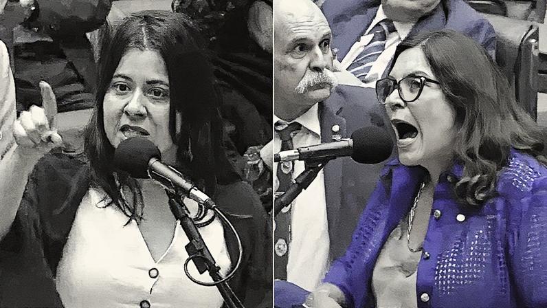 Deputadas federais Bia Kicis e Sâmia Bomfim discutem ao fim da votação da PEC da Blindagem (Foto: Reprodução)