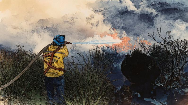 Combate ao incêndio no Parque Nacional do Itatiaia, em Minas Gerais (Foto: Reprodução)
