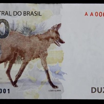 Novo crédito consignado oferece juros altos para renda reduzida