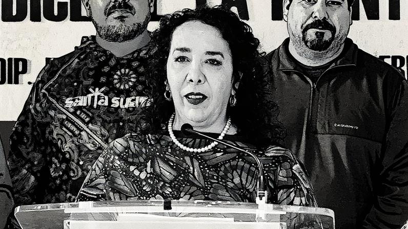 Hilda Araceli Brown na Câmara de Deputados em março de 2025 (Foto: Reprodução)