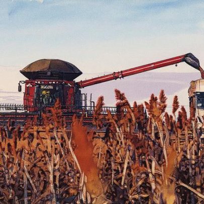 Inadimplência no agronegócio sobe para 7% e Caixa limita crédito ao setor