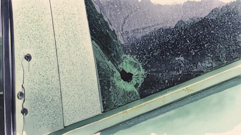Carro alvejado na Avenida Prefeito Olímpio de Melo com diversas marcas de tiros (Foto: Reprodução)