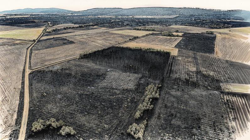 Masa forestal e áreas agrícolas destruídas pelo fogo nas proximidades de Herreros, em León (Foto: Reprodução)