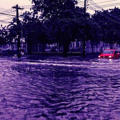 NDCs desempenham papel crucial na gestão sustentável e combate à crise climática