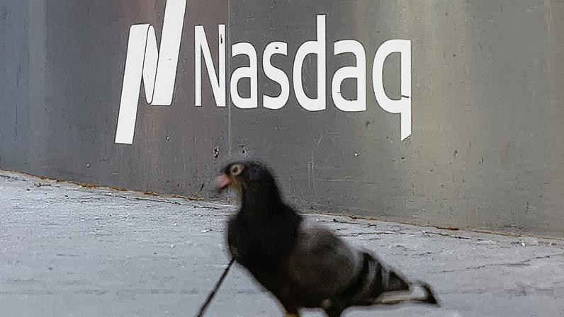 Um pombo caminha em frente ao site da bolsa de valores Nasdaq na cidade de Nova York (Foto: Reprodução)