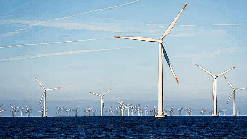 Parque eólico offshore Nysted, com turbinas eólicas no Mar Báltico, próximo a Gedser, Dinamarca (Foto: Reprodução)
