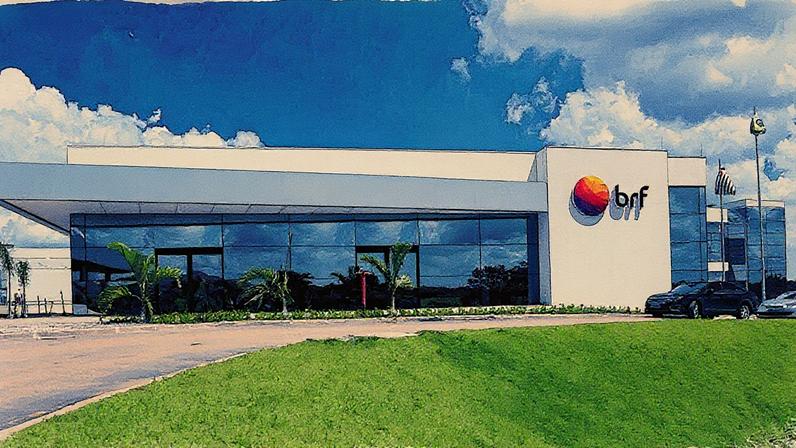 Tribunal do Cade aprova fusão entre BRF e Marfrig por unanimidade, sem restrições (Foto: Reprodução)