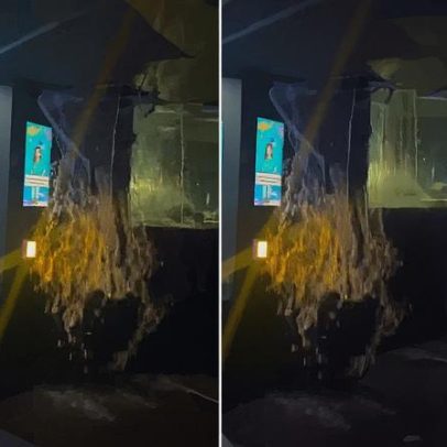 Teto do AquaRio cede após vazamento em tanque, causando preocupação entre visitantes