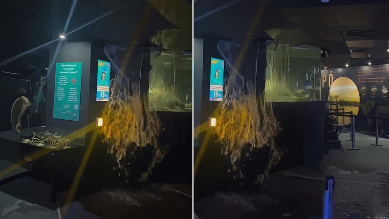 Parte do teto do AquaRio cedeu após vazamento de tanque; ninguém ficou ferido (Foto: Reprodução)
