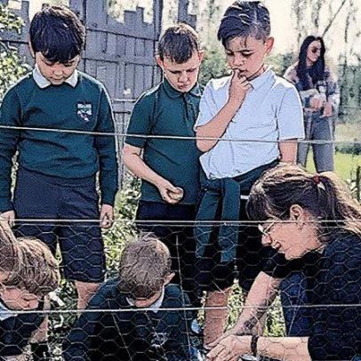 "Minúsculas florestas japonesas conquistam a Escócia"