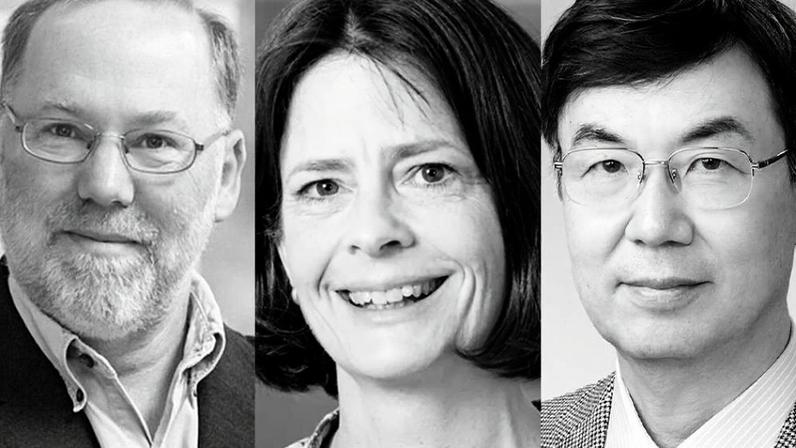 (Wikimedia Commons/Reprodução)