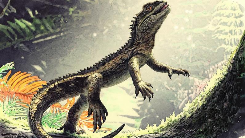 (Bob Nicholls/University of Bristol/Reprodução)