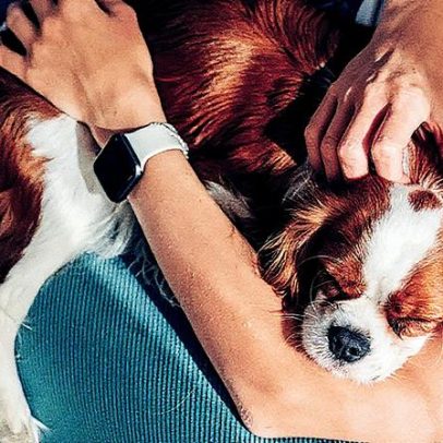 Pets tornam-se parte essencial da economia brasileira