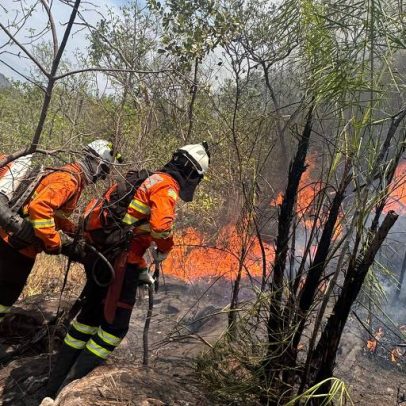 Incêndio na Chapada dos Veadeiros destrói 77 mil ha e ameaça comunidades