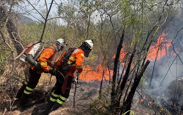 Dois bombeiros com uniformes laranja e capacetes brancos usam equipamentos para apagar fogo em vegetação seca. Chamas e fumaça são visíveis entre árvores e arbustos.