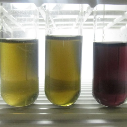 Unesp cria técnica rápida para detectar metanol em bebidas