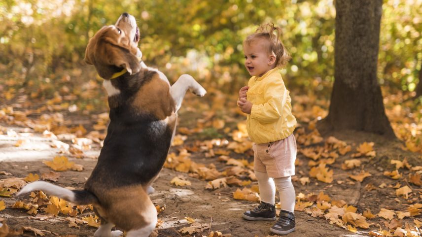 Mais de 94% dos brasileiros já tiveram animais de estimação em casa - Reprodução/Freepik