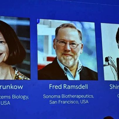 Cientistas americanos e japonês recebem Nobel de Medicina 2023