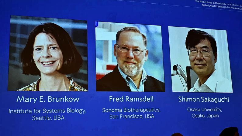 © Reuters/Claudio Bresciani/Proibida reprodução