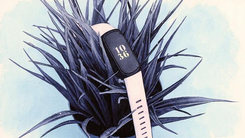 The Inspire 3 can’t do it all, but for a budget band, it handles the basics quite well.