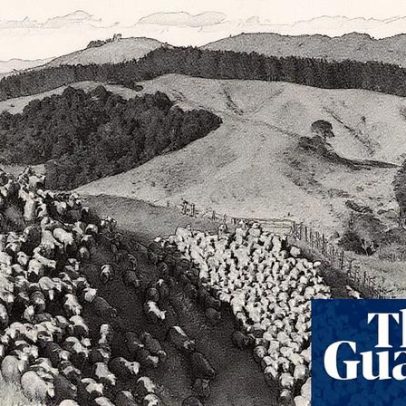 Nova Zelândia é acusada de negacionismo climático total ao cortar metas de redução de metano