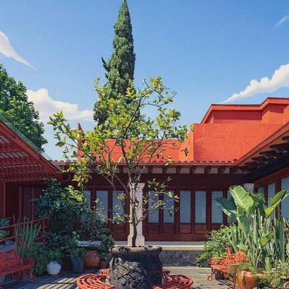 Museu de Frida Kahlo dedicado à juventude e vida familiar é inaugurado em Brasília